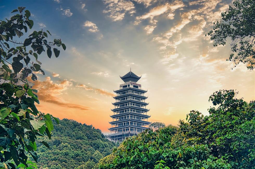 广西高峰森林公园.jpg